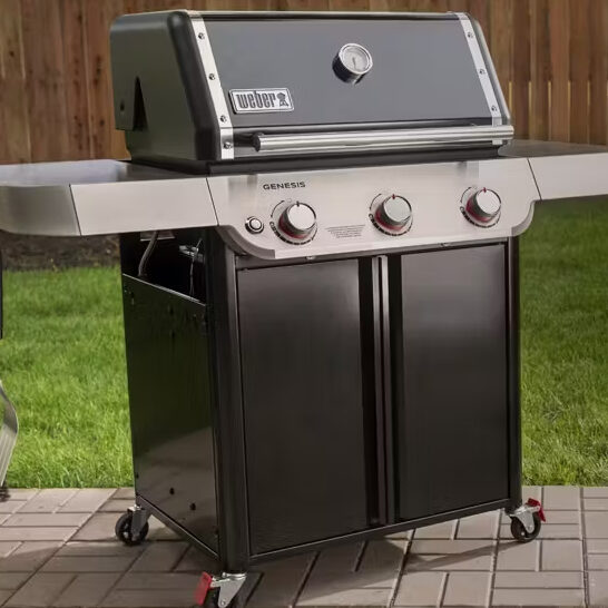 weber bbq photo